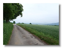 P6132420