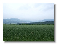 P6132423