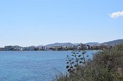 DSC 0636