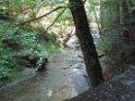 Glasklares Wasser - sieht man hier leider nicht 