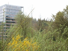 P4286367